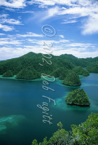 Wayag Islands, Raja Ampat, Indonesia