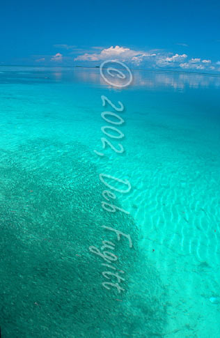 View of Batanta from Wai Island, School of fish photo