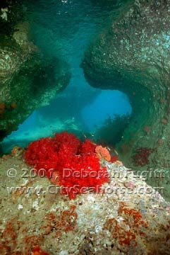 Five Rocks - Near the Surface