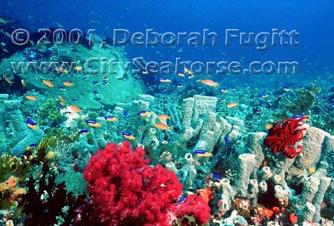 No Subject, Just the Bottom