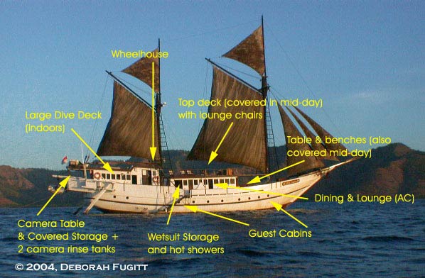 The annotated SMY Ondina picture