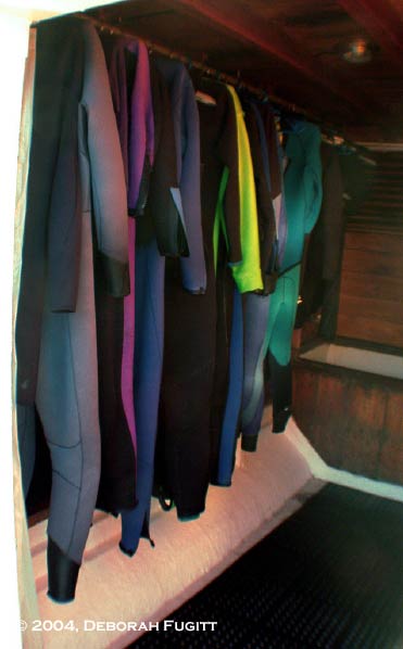 Ondina's Suit Storage