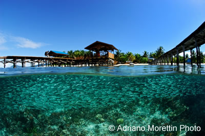 underwater photography contest winners