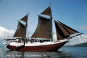Raja Ampat Liveaboard Ship