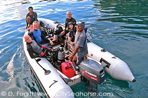SMY Ondina liveaboard dive tender