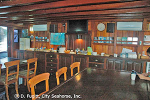 SMY Ondina Indonesia liveaboard dive deck