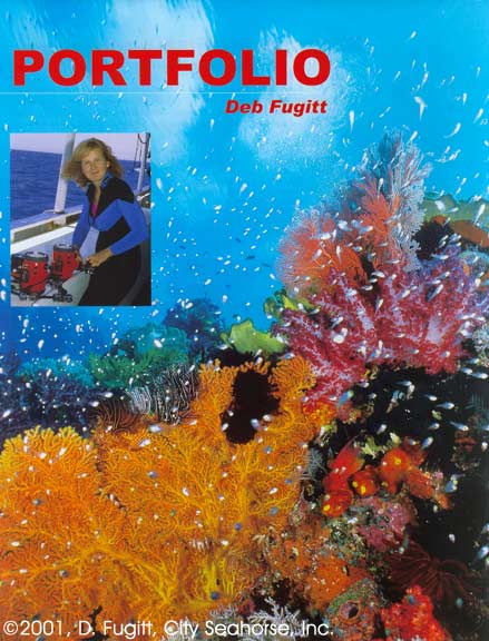 Wayag, Raja Ampat Islands, Irian Jaya Indonesia